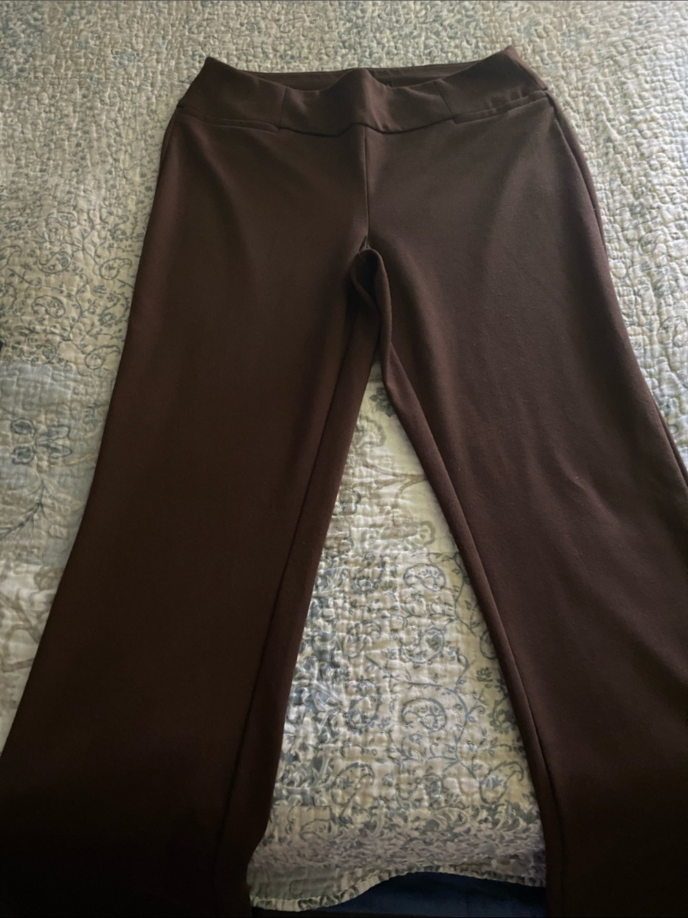 New York & Company Wide-Leg Pants in Dark Brown